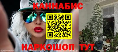 мяу мяу мука Заводоуковск