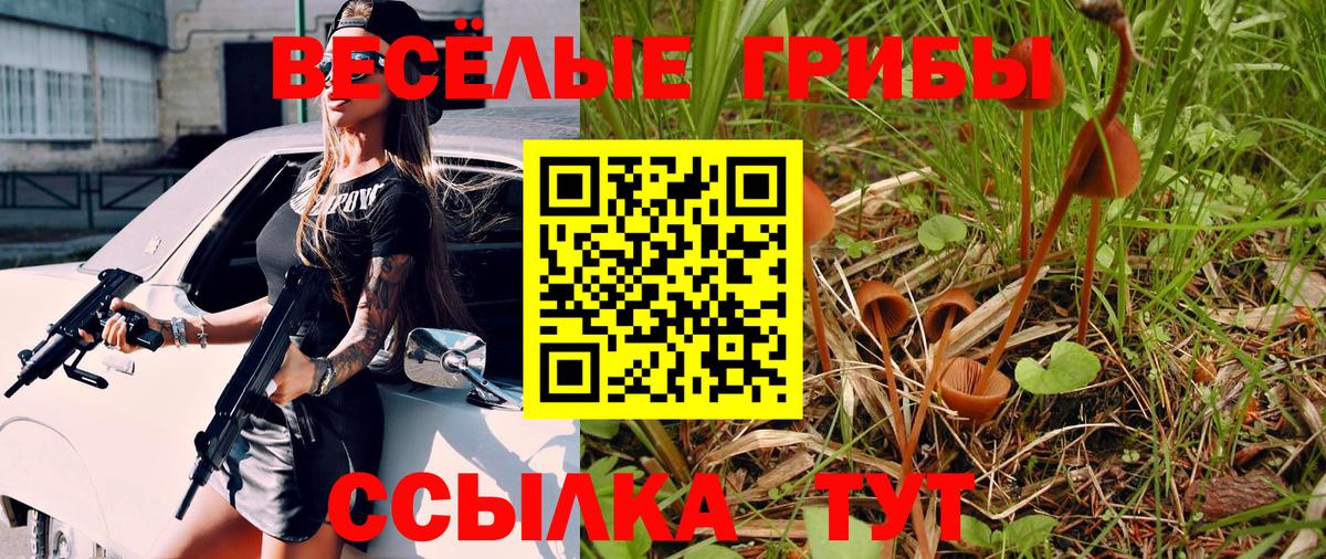 Псилоцибиновые грибы прущие грибы Менделеевск