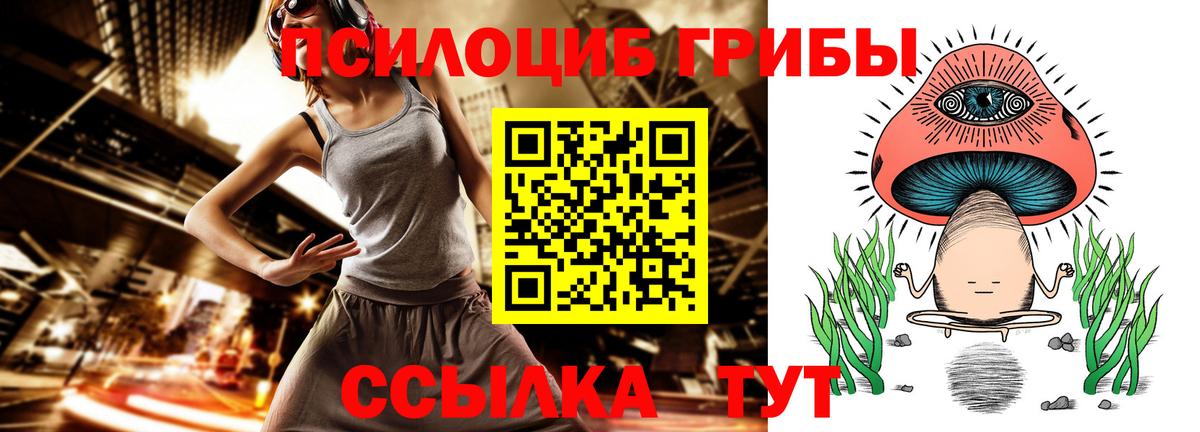 Псилоцибиновые грибы Psilocybine cubensis  Вход с VPN  Менделеевск 